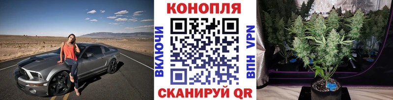 Купить наркотики цена Жиздра Канабис  Кокаин  Галлюциногенные грибы  Alpha PVP  Амфетамин  Меф  ГАШИШ 