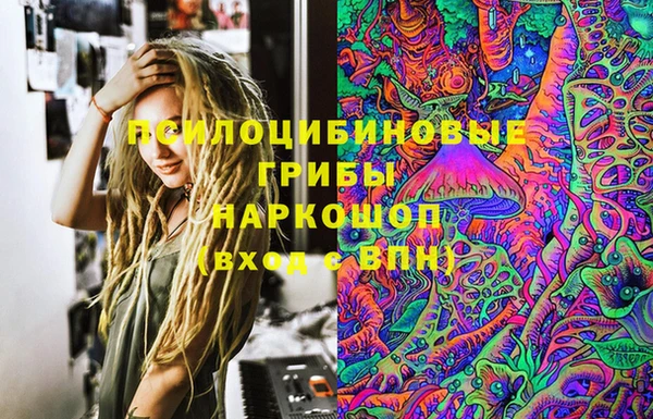 ГАЛЛЮЦИНОГЕННЫЕ ГРИБЫ Михайловск