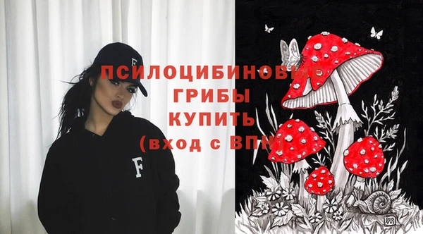 ГАЛЛЮЦИНОГЕННЫЕ ГРИБЫ Михайловск