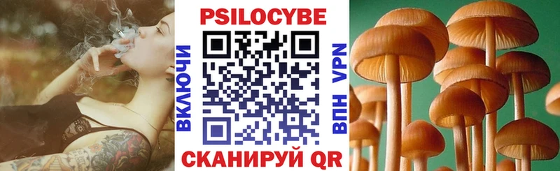 Псилоцибиновые грибы мухоморы  магазин продажи наркотиков  omg онион  Жиздра 